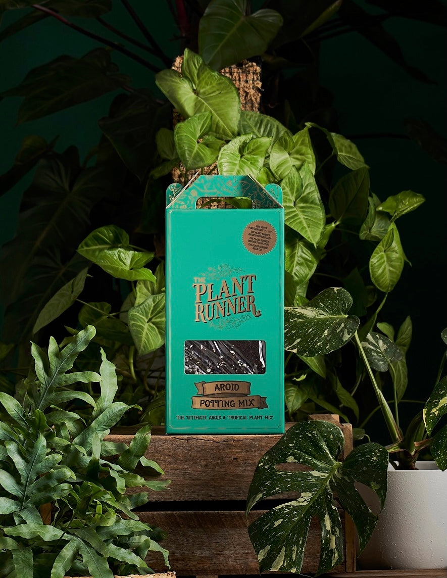 The Plant Runner - Aroid Potting Mix