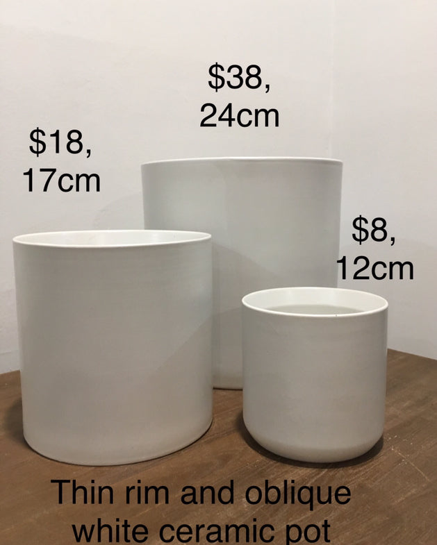 White Thin Rim and Oblique Pots