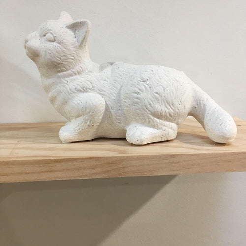 cat pot