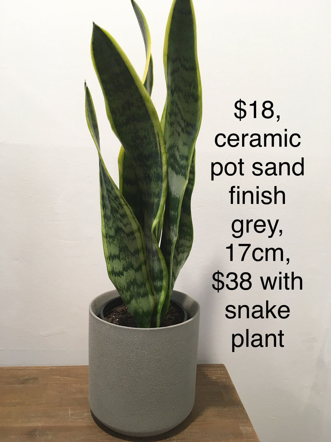 Ceramic pot sand finish -Grey 17cm