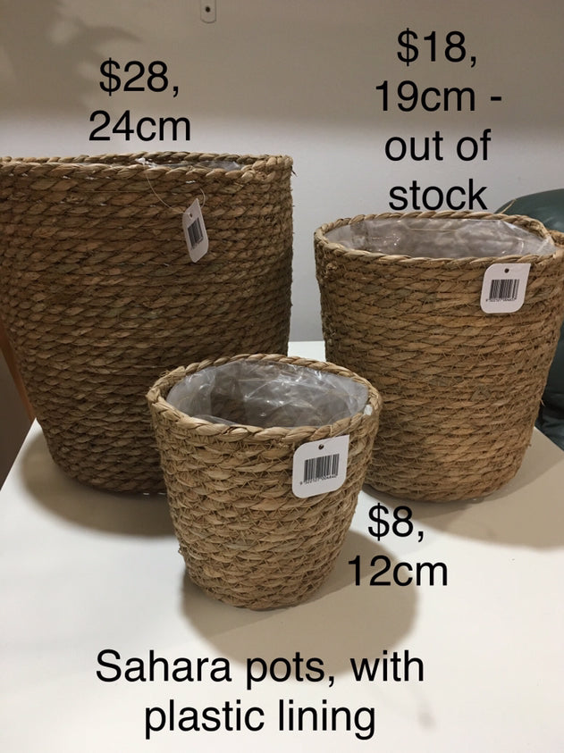 Sahara basket pot